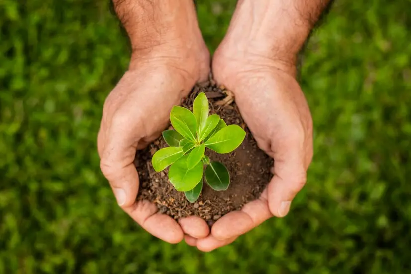 projetos para meio ambiente